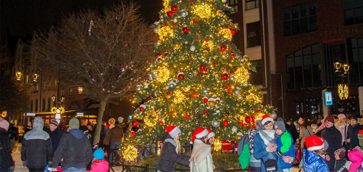 W Elblągu już czuć atmosferę świąt. Dziś rozbłysła choinka na Starym Mieście (zdjęcia)