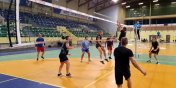 Pmetek Awangarda Volley Ligi