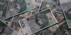 Wspprzewodniczcy Lewicy o rencie wdowiej: Zajmiemy si. Musz si znale pienidze