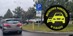Mistrzowie Parkowania w Elblgu (cz 309)