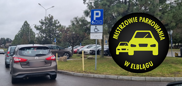 Mistrzowie Parkowania w Elblągu (część 309)
