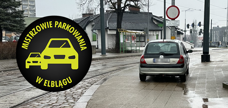 Mistrzowie Parkowania w Elblągu (część 310)