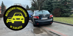 Mistrzowie Parkowania w Elblgu (cz 311)