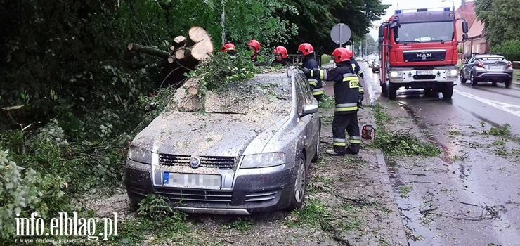 Łęczycka: Drzewo spadło na zaparkowane samochody