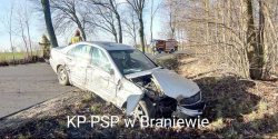 Straci� panowanie nad autem, uderzy� w drzewo