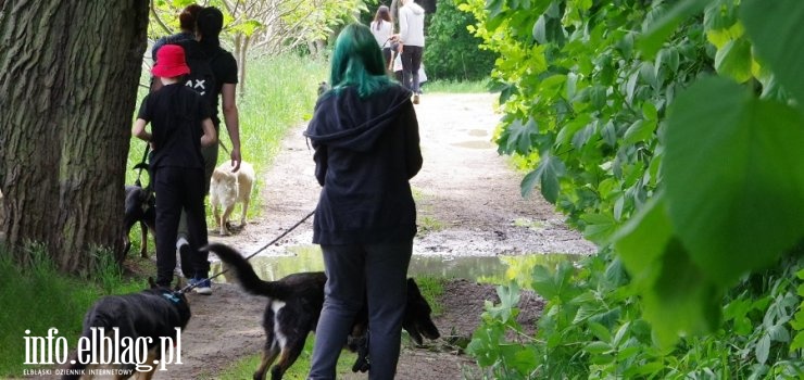 Kolejny Bieg na 6 Łap. Kwietniowe harce ze schroniskowymi psiakami w bażantarni