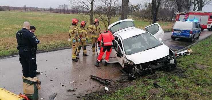 Peugeot uderzy w drzewo - zobacz zdjcia