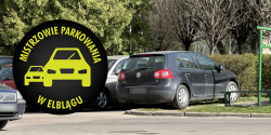 Mistrzowie Parkowania w Elblągu (część 323)