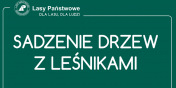 Sadzenie lasu z lenikami. 