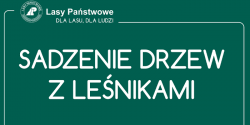Sadzenie lasu z lenikami. 