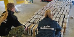Kontrabanda ukryta pod ziemi� ogrodow�