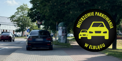 Mistrzowie Parkowania w Elblgu (cz 337)