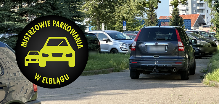 Mistrzowie Parkowania w Elblgu (cz 338)