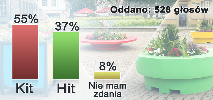 To kit! Elblążanom nie podobają się kolorowe donice? Poznaj wyniki sondy INFO