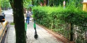 Elblg: Uytkownicy przepisy maj za nic? Te hulajnogi musieli odholowa stranicy