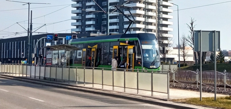 Bezpłatna komunikacja miejska podczas Dni Elbląga. Poznaj rozkład jazdy!