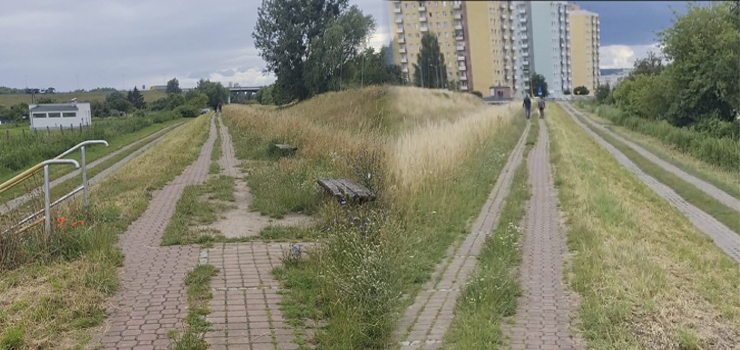 Elblg: cieka zarosa, miejscami trudno przejecha. Urzdnicy o niej zapomnieli?