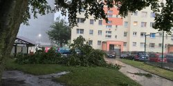 Po�amane drzewa, nieprzejezdne drogi. Stra�acy tej nocy interweniowali kilkadziesi�t�razy