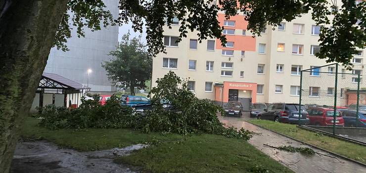 Połamane drzewa, nieprzejezdne drogi. Strażacy tej nocy interweniowali kilkadziesiąt razy