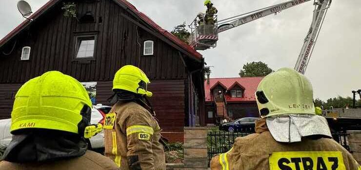 Burze i silny wiatr ciągle nie odpuszczają. Akcje strażaków na Mierzei Wiślanej - zdjęcia