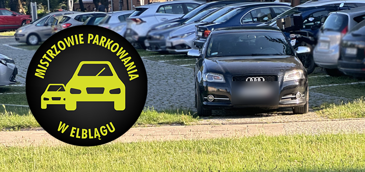 Mistrzowie Parkowania w Elblągu (część 346)