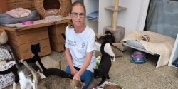 Kieruje elblskim schroniskiem od 15 lat. Agnieszka Wierzbicka: Miaam pracowa chwil, ale zostaam i nie auj