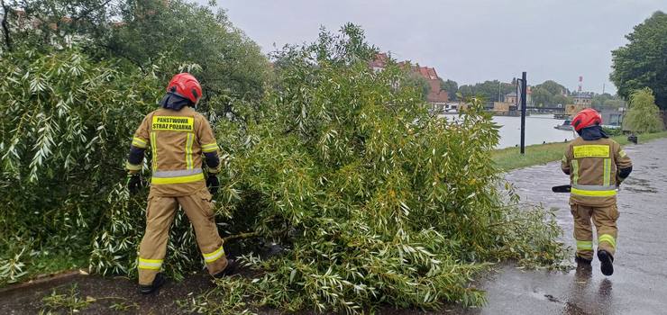 Elbląg: Strażacy interweniowali kilkadziesiąt razy. "Zgłoszenia dotyczyły głównie powalonych drzew"