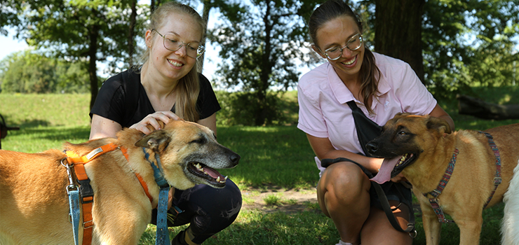 Elbląg: Spacerowali po Bażantarni z psami ze schroniska (zdjęcia)