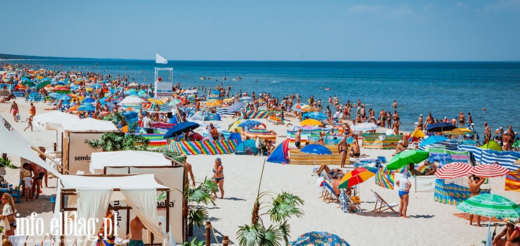 W tym roku sinice kwitną wyjątkowo intensywnie?