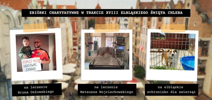 Akcje charytatywne podczas Święta Chleba
