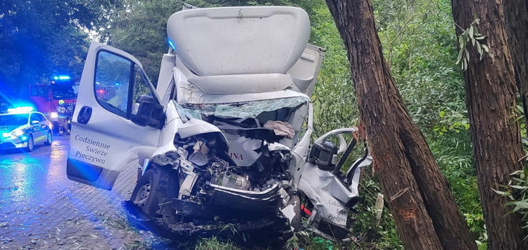 Bus uderzył w drzewo. Mężczyzna trafił do szpitala