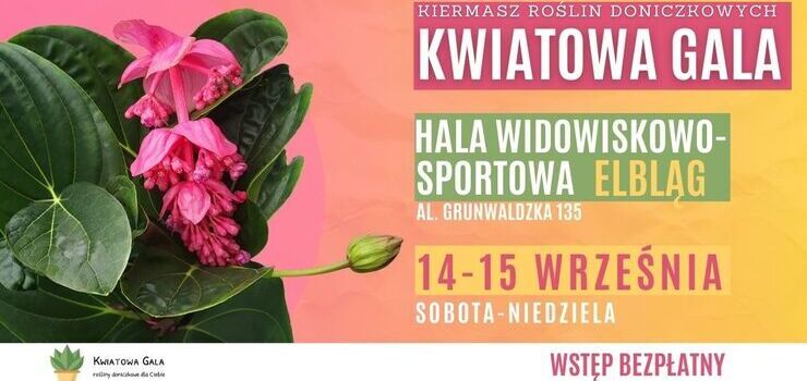 Kwiatowa Gala w Elblągu. Wstęp na kiermasz roślin doniczkowych będzie darmowy