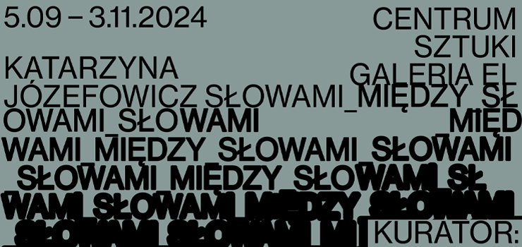 Wernisaż wystawy Katarzyny Józefowicz