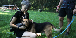 Bieg na sze�� �ap w Ba�antarni (zobacz zdj�cia)