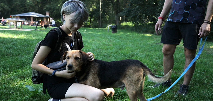 Bieg na sześć łap w Bażantarni (zobacz zdjęcia)