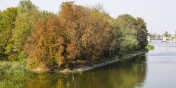 Wikingowie na Wyspie Spichrzw. Wraca temat budowy repliki osady Truso