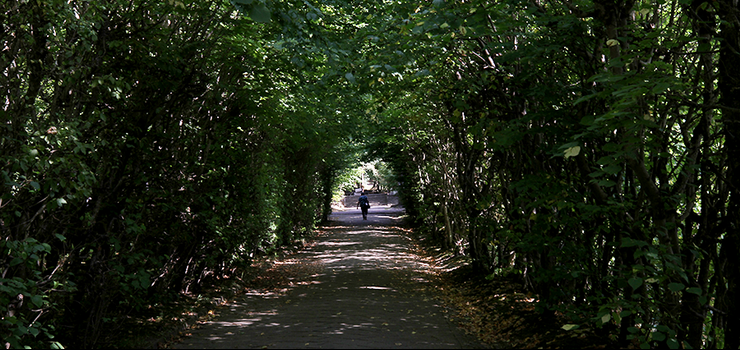 "Spacer" na pożegnanie lata. Bażantarnia na fotografii