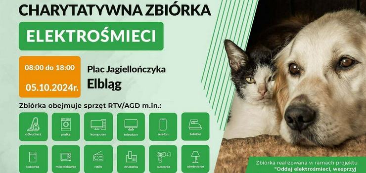 Zbiórka elektrośmieci na rzecz Schroniska dla Bezdomnych Zwierząt w Elblągu
