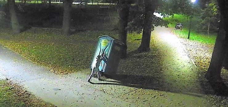 Elbląg: "Nierówna i bezsensowna walka". Młody mężczyzna przewrócił przenośną toaletę