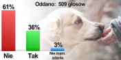 "Podatek od psa" powinien zosta. Tak uwaa 60 proc. internautw [wyniki ankiety INFO]