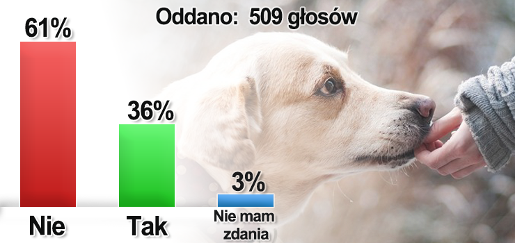 "Podatek od psa" powinien zostać. Tak uważa 60 proc. internautów [wyniki ankiety INFO]
