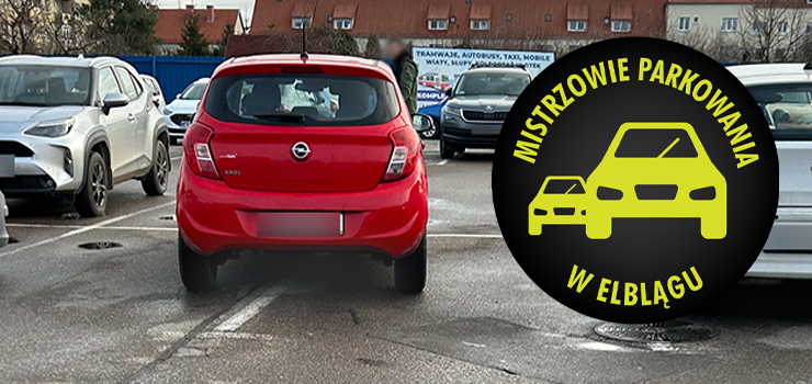 Mistrzowie Parkowania w Elblągu (część 362)