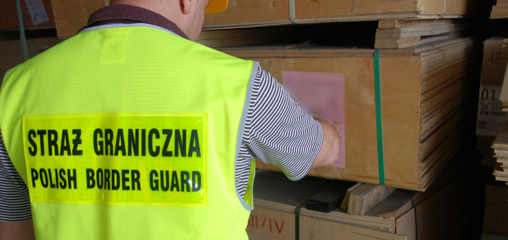 Śledczy na tropie kanałów przerzutowych sklejki z Białorusi