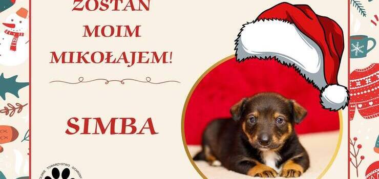 Zostań moim Mikołajem!