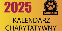 Kalendarz charytatywny na pomoc dla bezdomnych zwierz�t