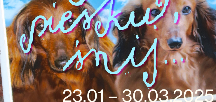 Centrum Sztuki Galeria EL zaprasza na wystawę Kacpra Tomaszewskiego „Śnij piesku, śnij”.