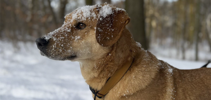 Roger - to będzie dobry wybór