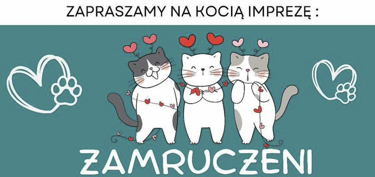 Już 15 lutego Koci Dzień w Elblągu!