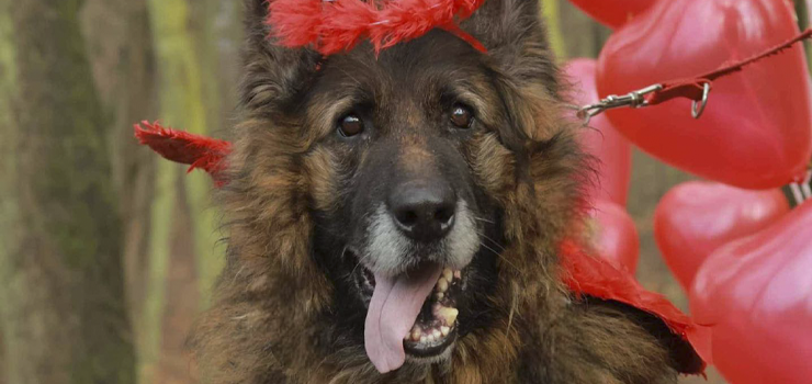 Cywil - nie taki diabeł straszny, jak go malują