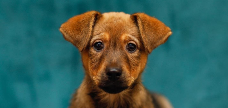 Wena chciałaby być częścią Twojego życia!